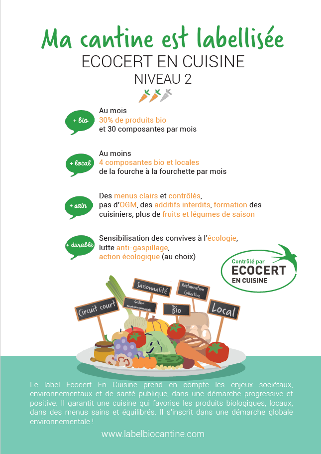 flyerniv2